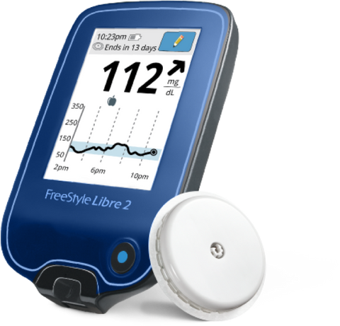 Abbott FreeStyle Libre 2 System