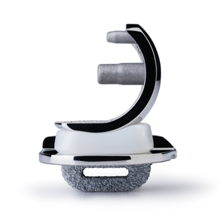 Oxford Cementless Partial Knee System